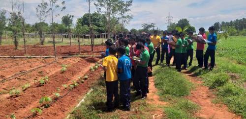 Primary School